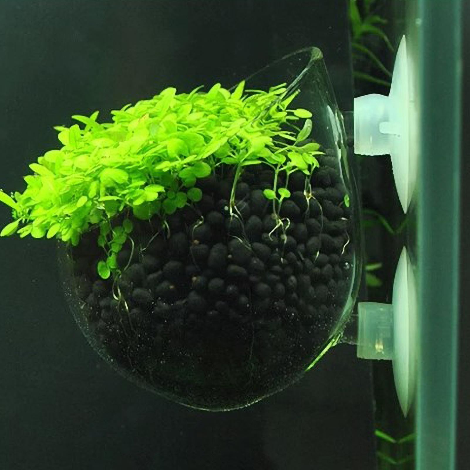 Planted Aquarium Aquascape - Suporte de Plantas para Aquário, Vaso