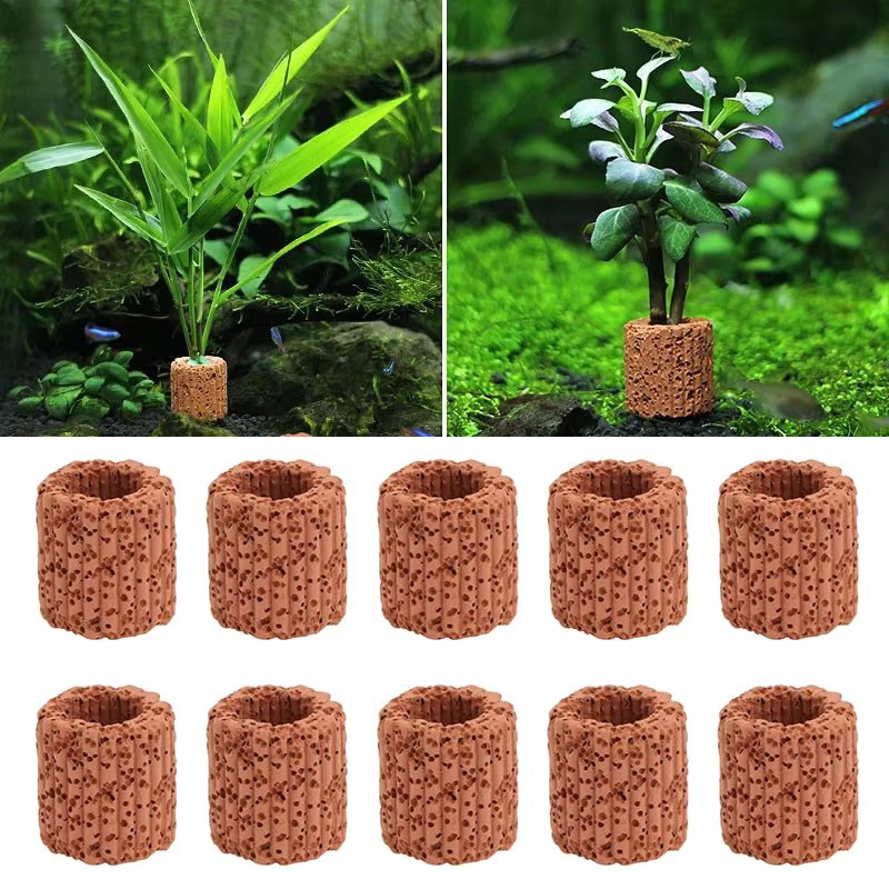 Aquarium Plant Utensils - Anel fixo de planta aquática para