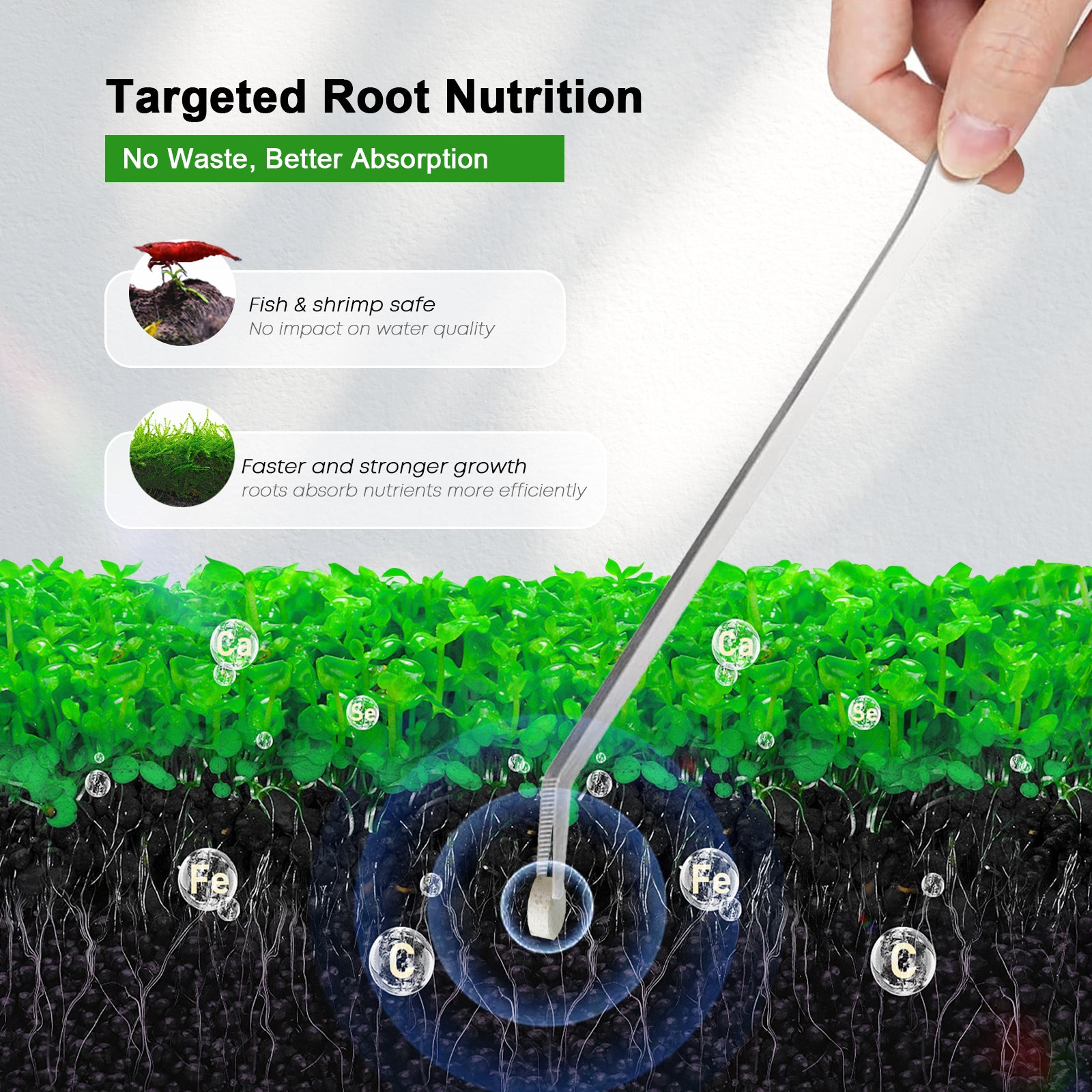 Aquarium Plant Root Fertilizer - FZONE Root Tabs: Acessórios de Fertilizante