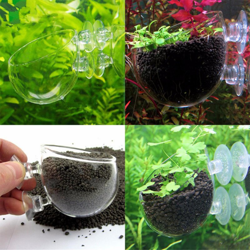 Planted Aquarium Moss - Aquário Pendurado Vaso De Plantas De