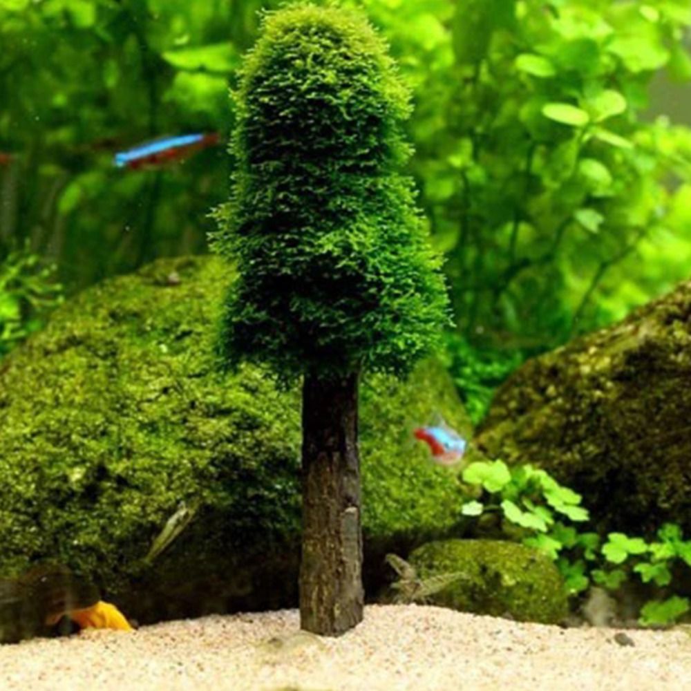 Árvore de Natal Simulada para  - Planted Aquarium Moss avaliação e preço