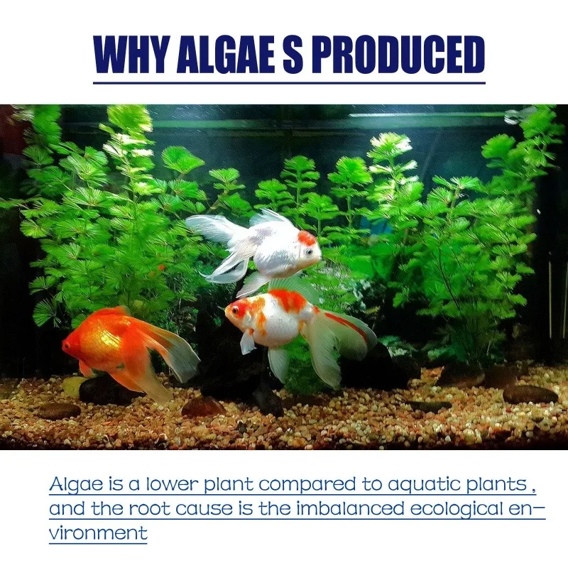 Algaicida de Alta Eficiência 5 - Planted Aquarium Moss avaliação e preço