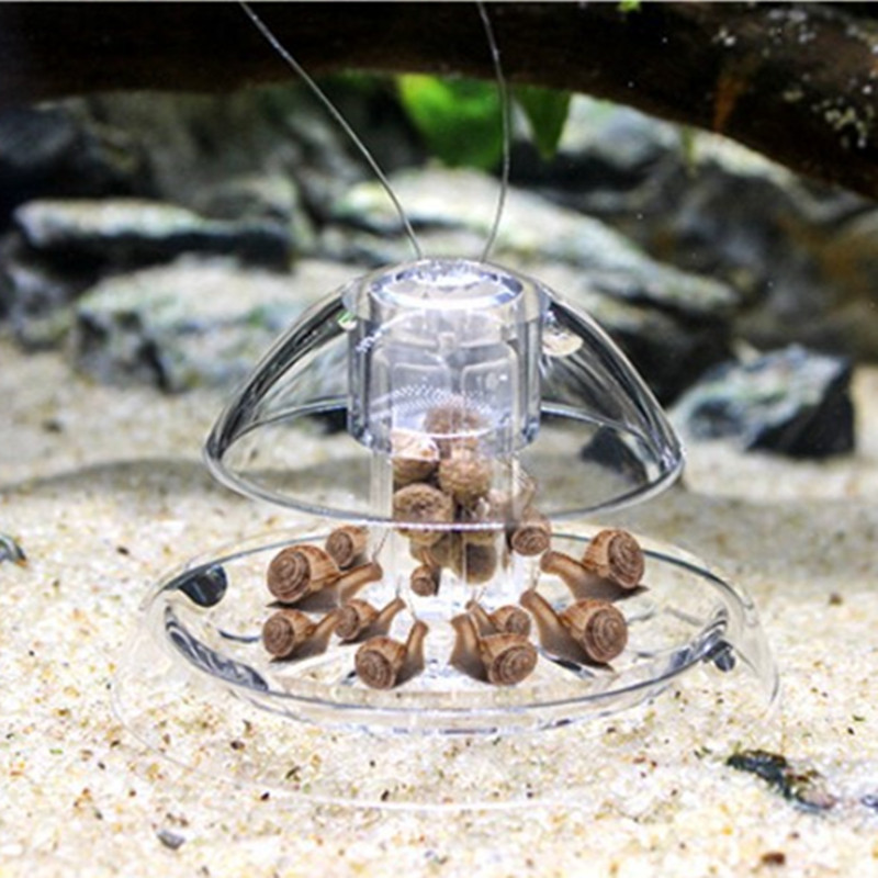 Caracol Armadilha Plástico Aqu - Aquarium Plant Utensils avaliação e preço