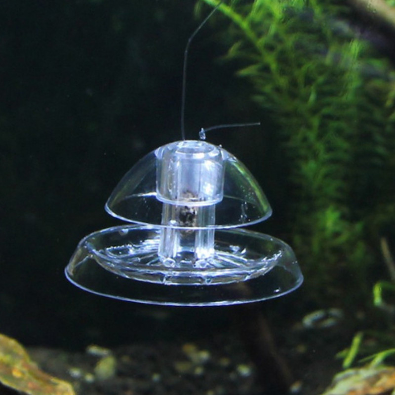 Caracol Armadilha Plástico Aqu - Aquarium Plant Utensils avaliação e preço