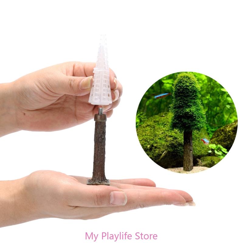 Decoração De Musgo De Aquário  - Planted Aquarium Moss avaliação e preço