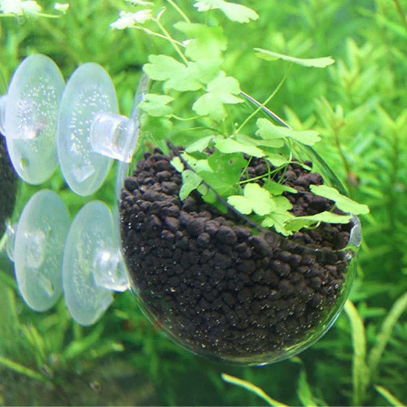 Suporte de Plantas para Aquári - Planted Aquarium Aquascape avaliação e preço