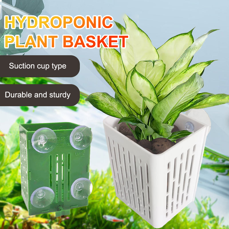 Pendurado ventosa gancho aquár - Planted Aquarium Aquascape avaliação e preço
