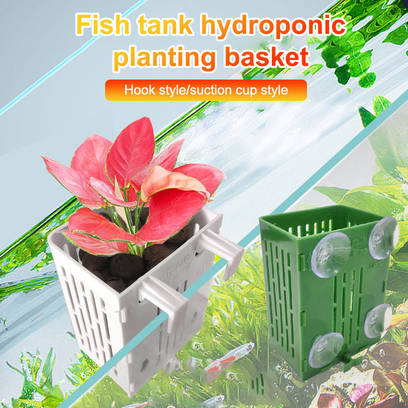 Pendurado ventosa gancho aquár - Planted Aquarium Aquascape avaliação e preço