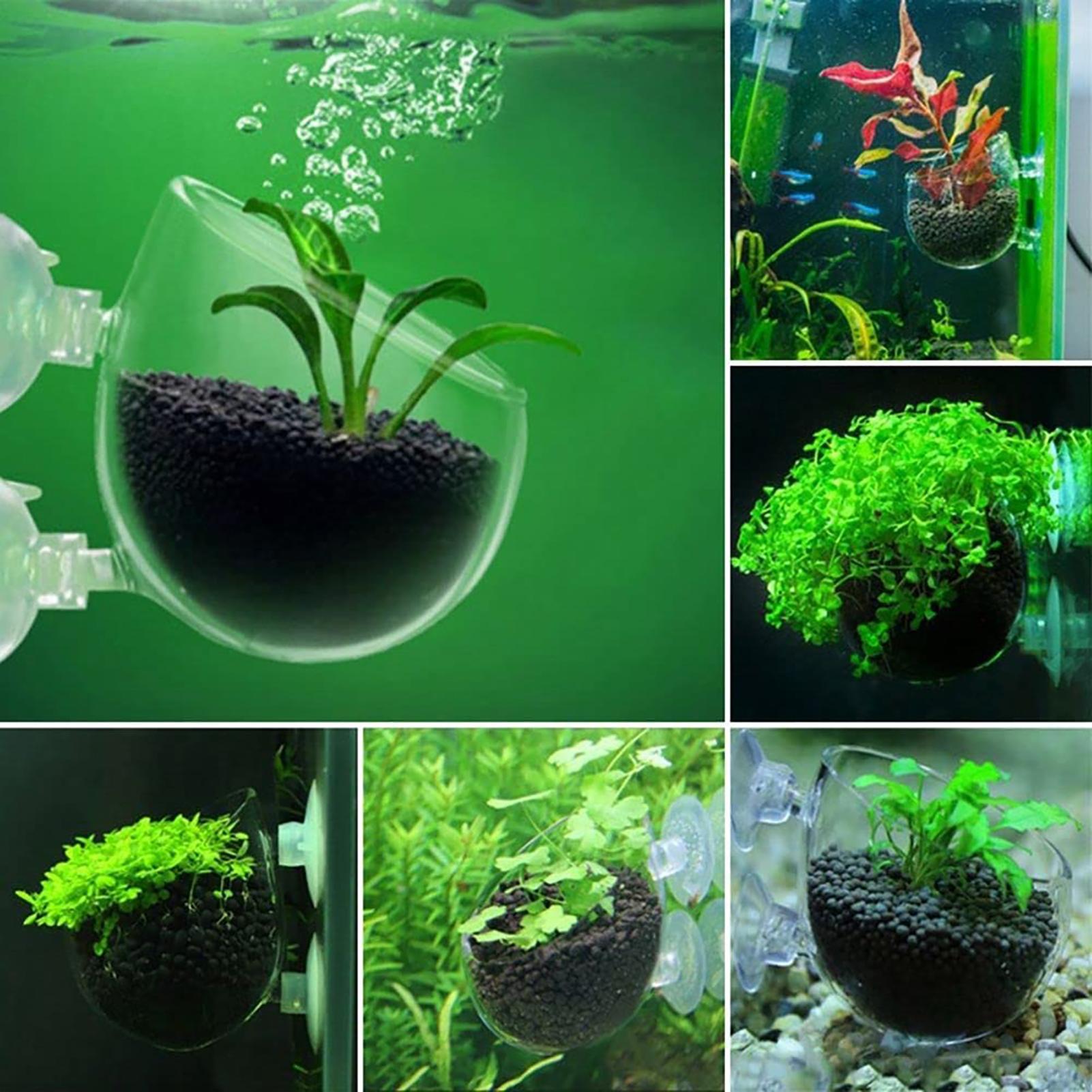 Copo de acrílico para plantas  - Aquarium Plant Utensils avaliação e preço