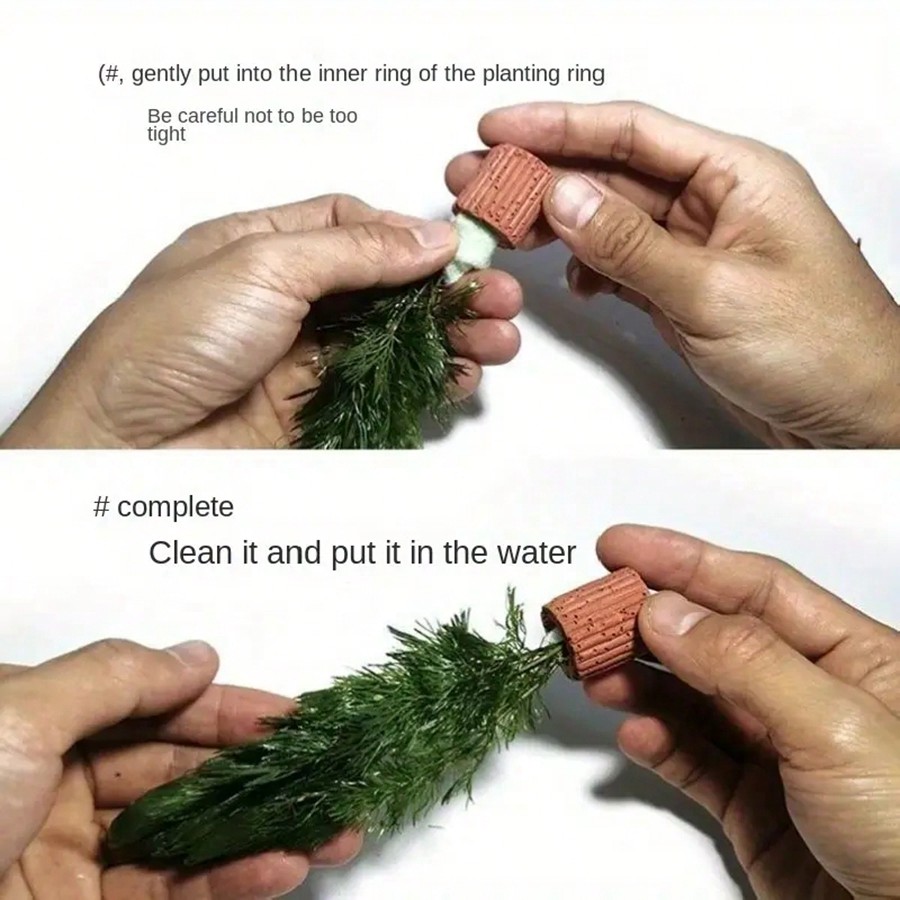 Anéis de fixação de plantas de - Planted Aquarium Aquascape avaliação e preço