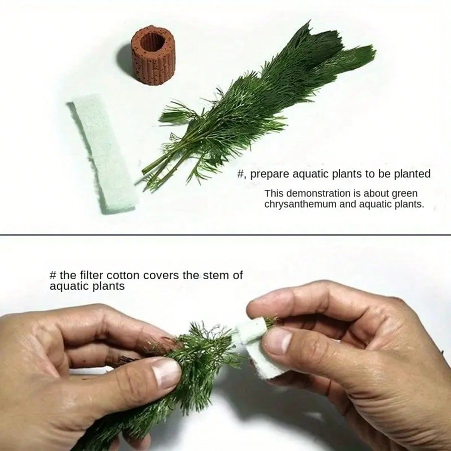 Anéis de fixação de plantas de - Planted Aquarium Aquascape avaliação e preço