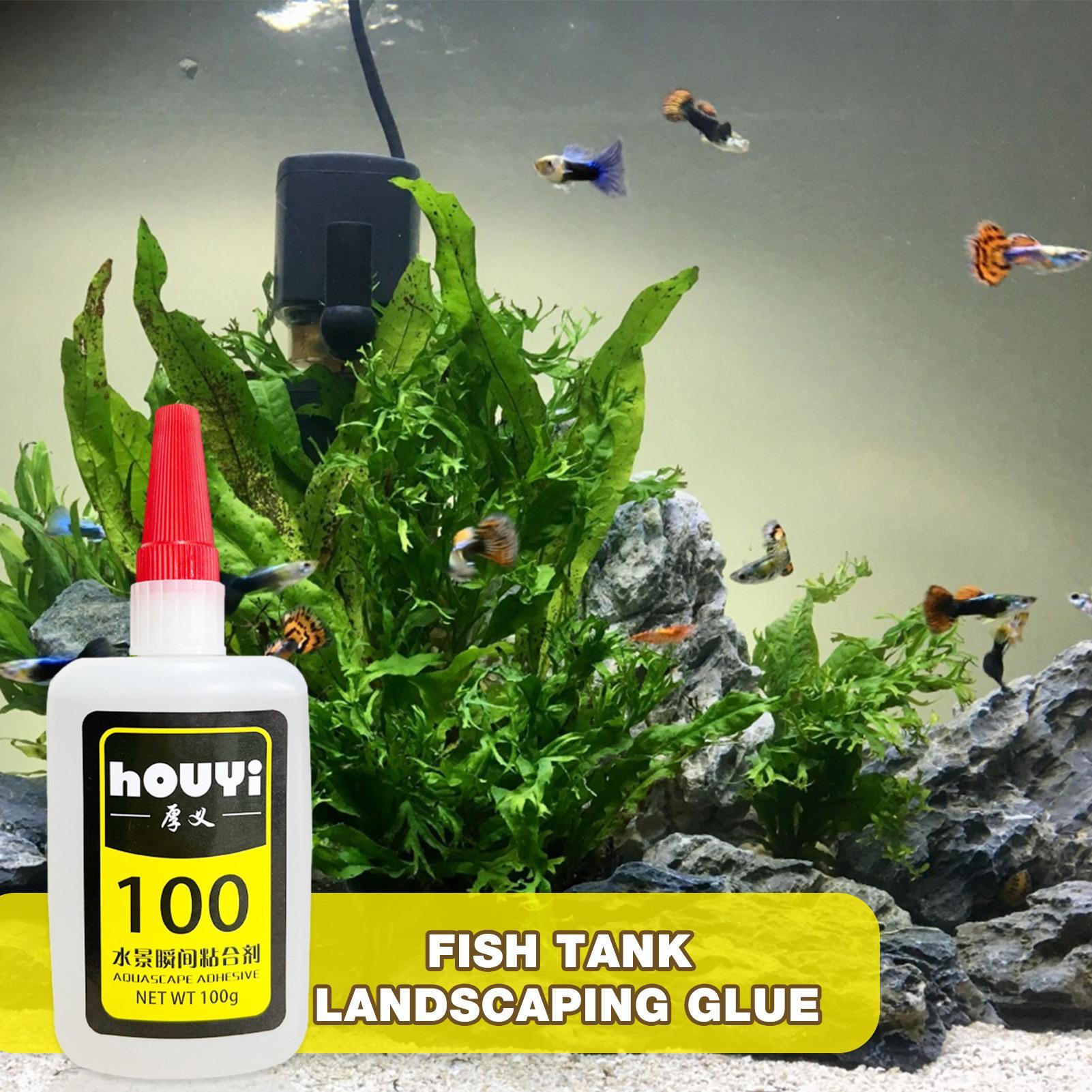 Cola instantânea transparente  - Planted Aquarium Aquascape avaliação e preço