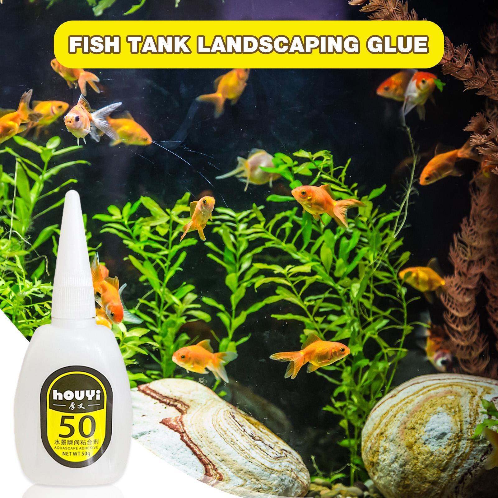 Cola instantânea transparente  - Planted Aquarium Aquascape avaliação e preço