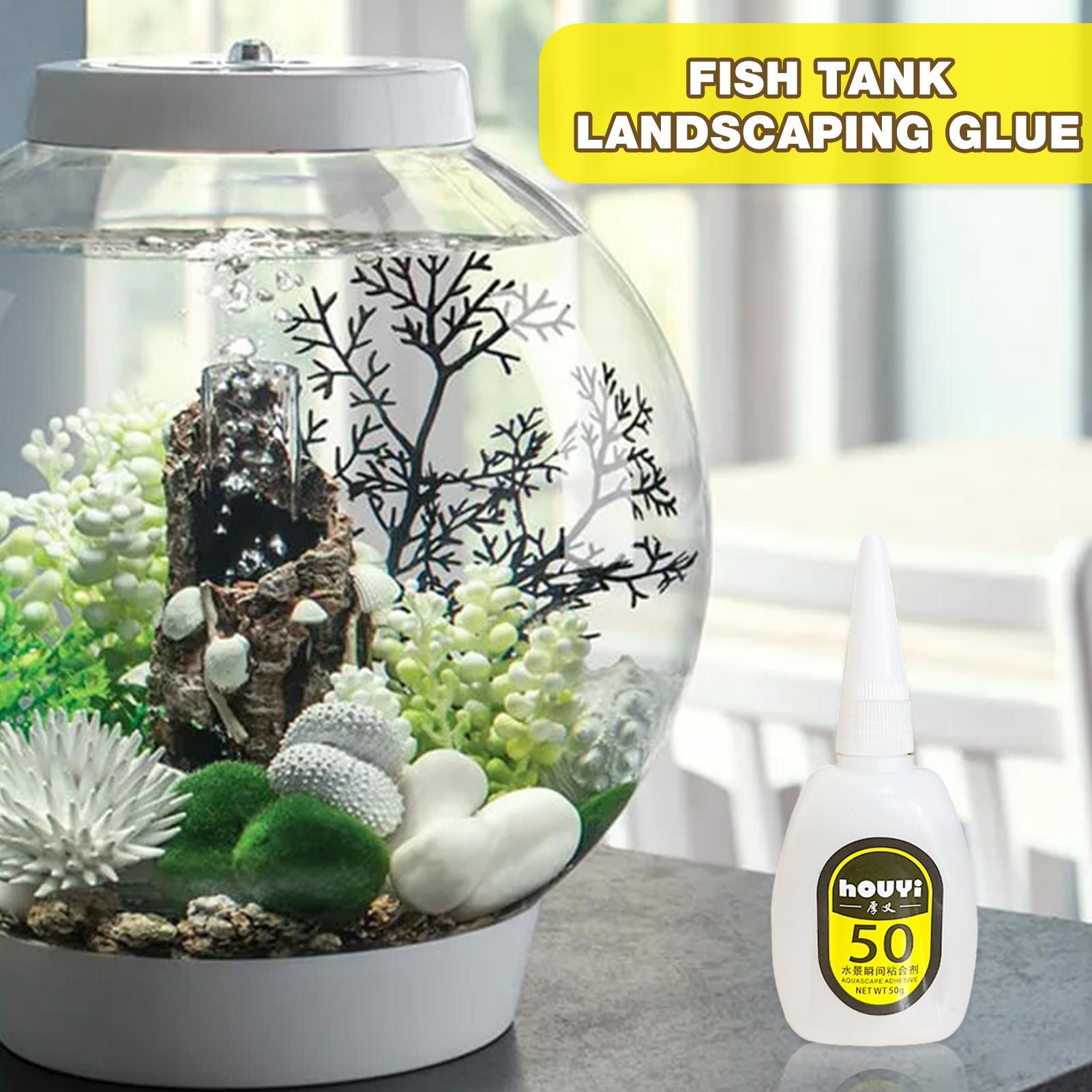 Cola instantânea transparente  - Planted Aquarium Aquascape avaliação e preço
