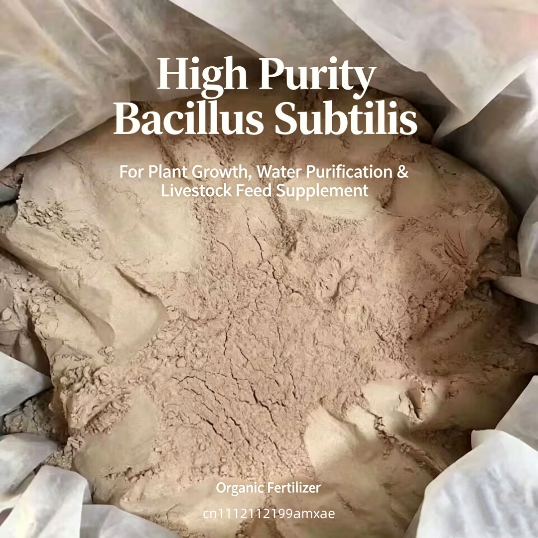 Pó de Bacillus Subtilis de Alt - Aquarium Plant Root Fertilizer avaliação e preço