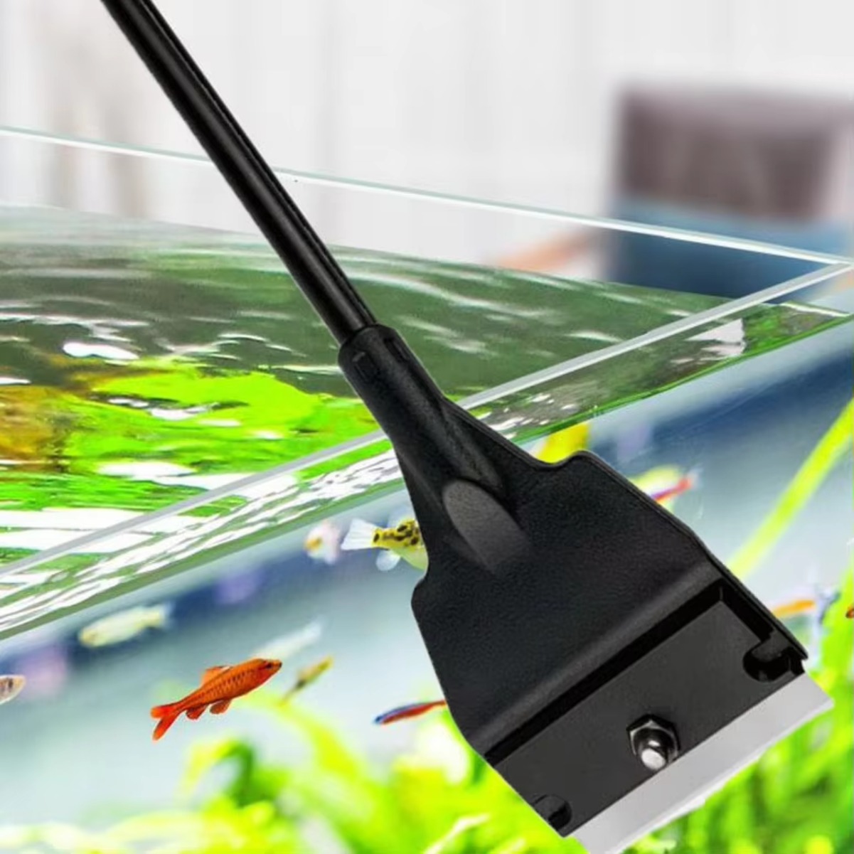 Raspador de Algas para Aquário - Aquarium Planted Sand avaliação e preço