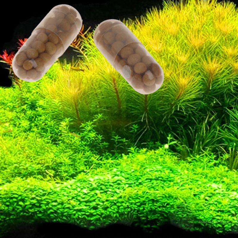Qx2e aquário planta viva ferti - Aquarium Plant Root Fertilizer avaliação e preço