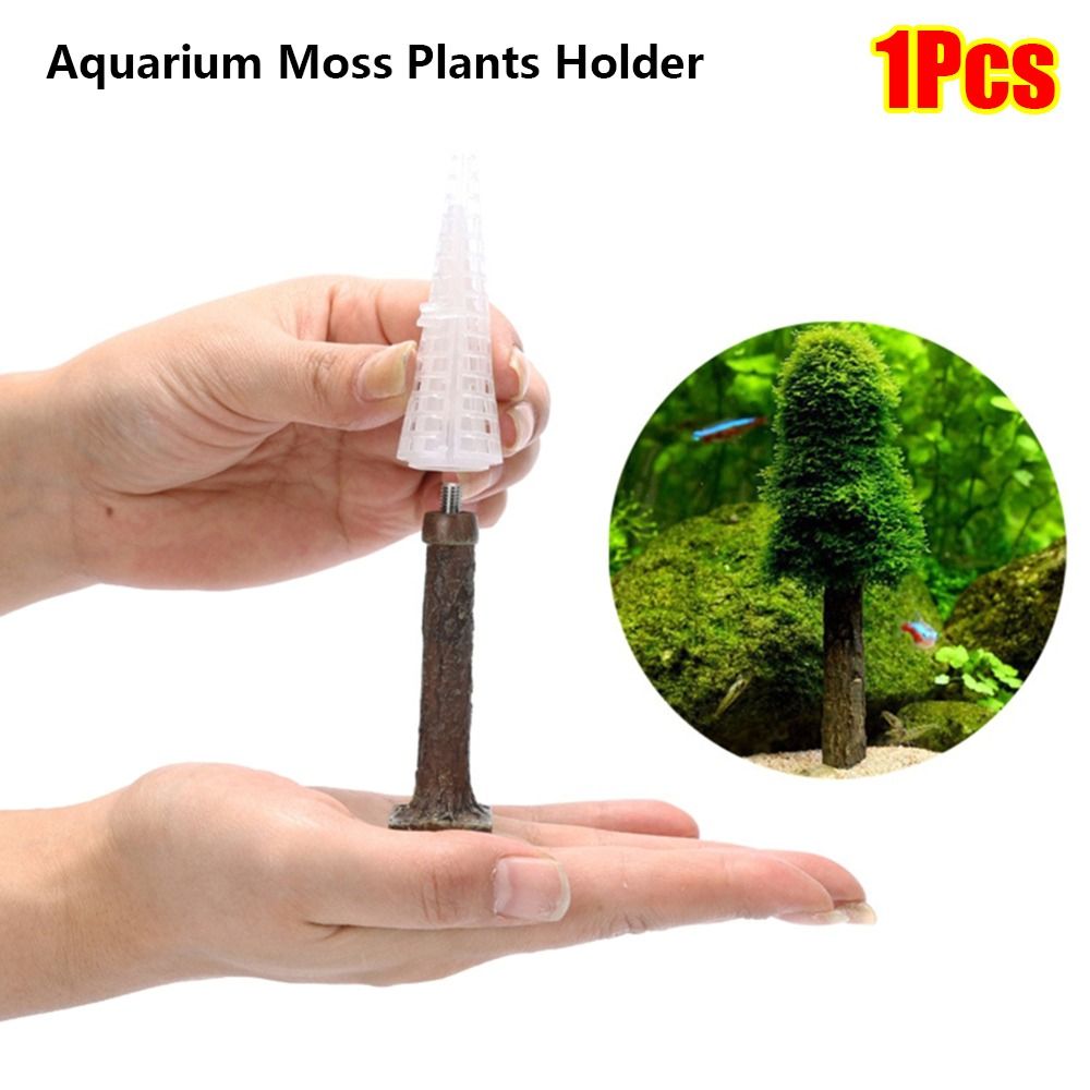 Suporte para Plantas de Musgo  - Planted Aquarium Moss avaliação e preço