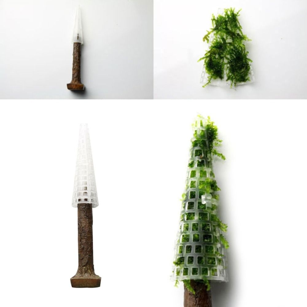 Suporte para Plantas de Musgo  - Planted Aquarium Moss avaliação e preço