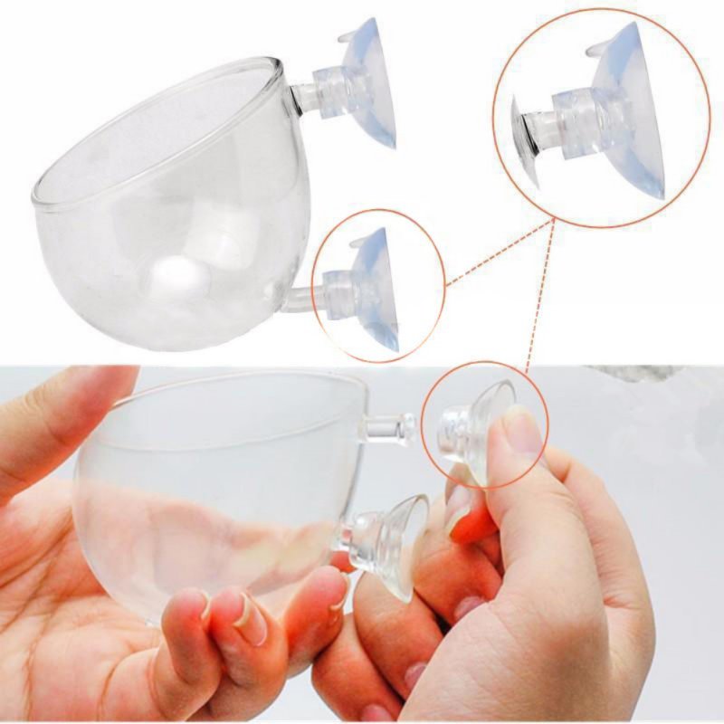 Aquário Pendurado Vaso De Plan - Planted Aquarium Moss avaliação e preço